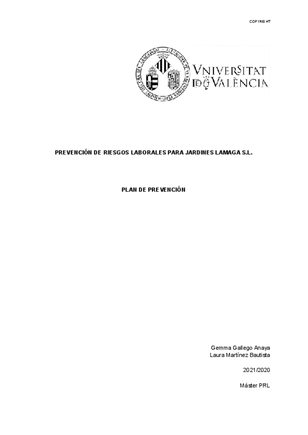 Miniatura del documento Planes-de-prevencion.pdf