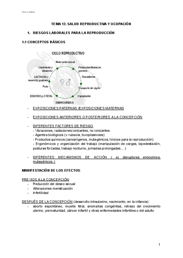 Miniatura del documento Tema-12.pdf