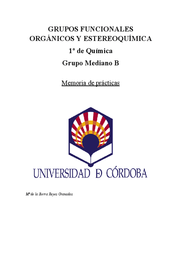 Miniatura del documento Memoria-de-practicas.pdf