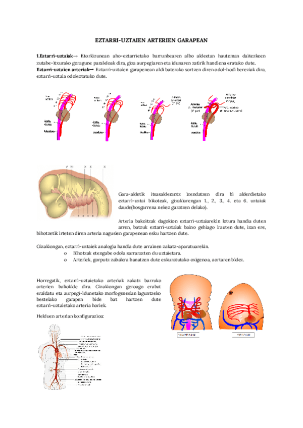 Miniatura del documento Eztarri-uztaien-arterien-garapena.pdf