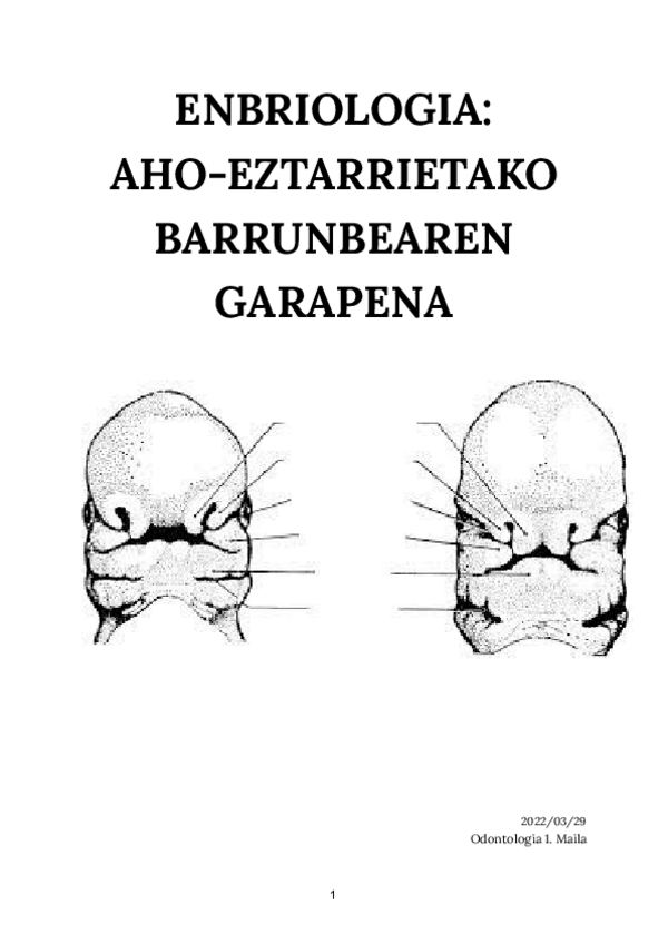 Miniatura del documento Aho-eztarrietako-barrunbearen-garapena.pdf