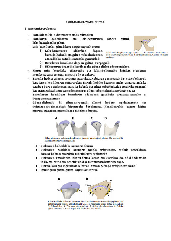 Miniatura del documento Loki-barailetako-giltza.docx.pdf