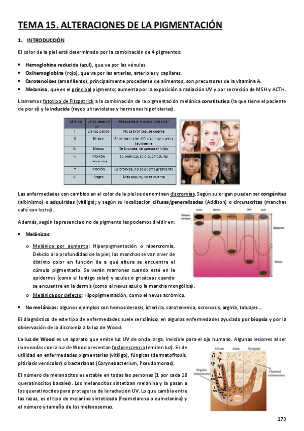 Miniatura del documento DERMATOLOGIA-2a-PARTE.pdf