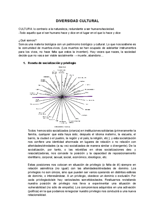 Miniatura del documento DIVERSIDAD-Apuntes.pdf