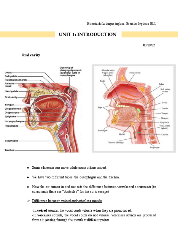 Miniatura del documento APUNTES-historia-de-la-lengua-inglesa.pdf