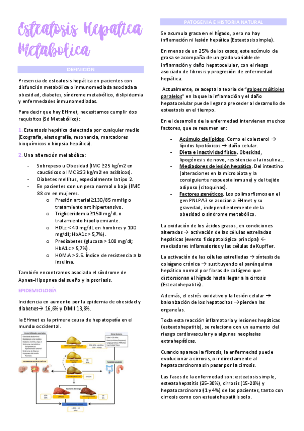 Miniatura del documento T60.-Esteatosis-Hepatica-Metabolica.pdf