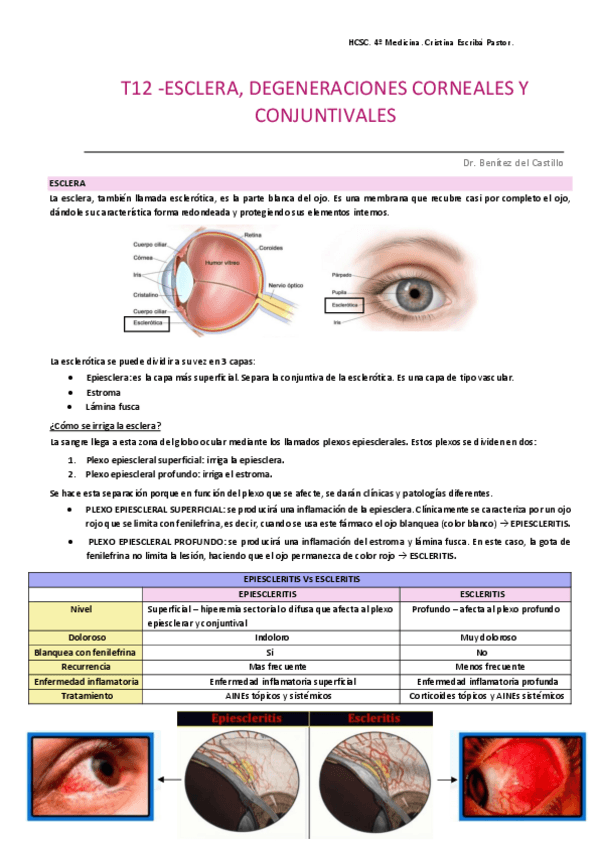 Miniatura del documento Enfermedades-corneales.pdf