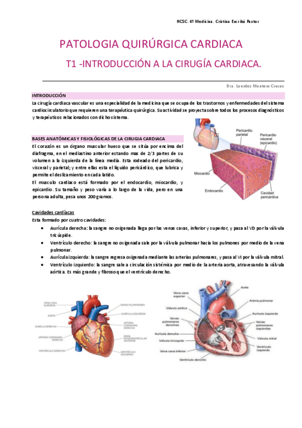 Miniatura del documento Cirugia-cardiaca-HCSC.pdf