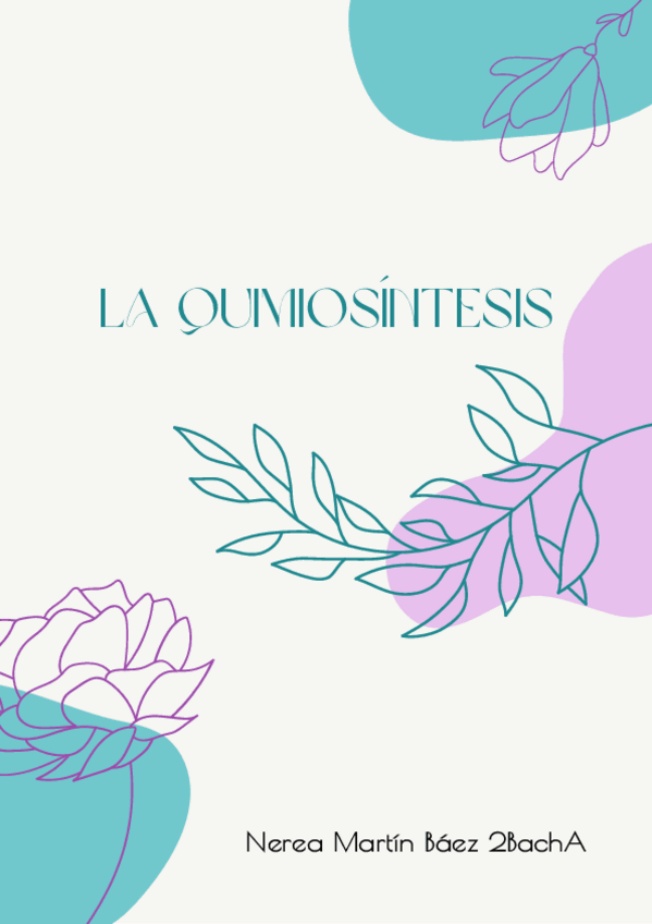 Miniatura del documento quimiosintesis.pdf