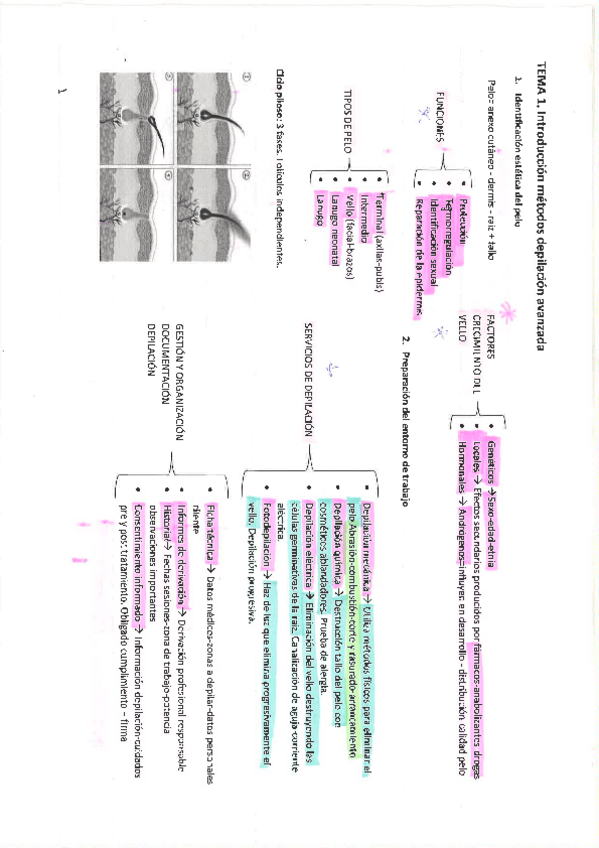 Miniatura del documento Tema-1.-Introduccion-a-la-depilacion-avanzada.pdf