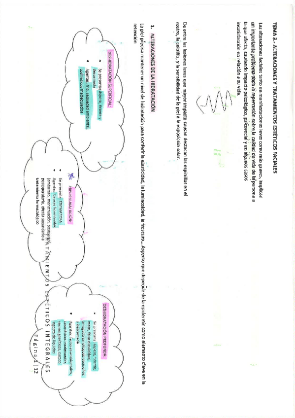 Miniatura del documento Tema-2.-Alteraciones-y-tratamientos-faciales.pdf