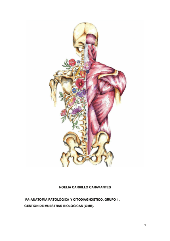 Miniatura del documento Cuaderno-Practicas-GMB.pdf