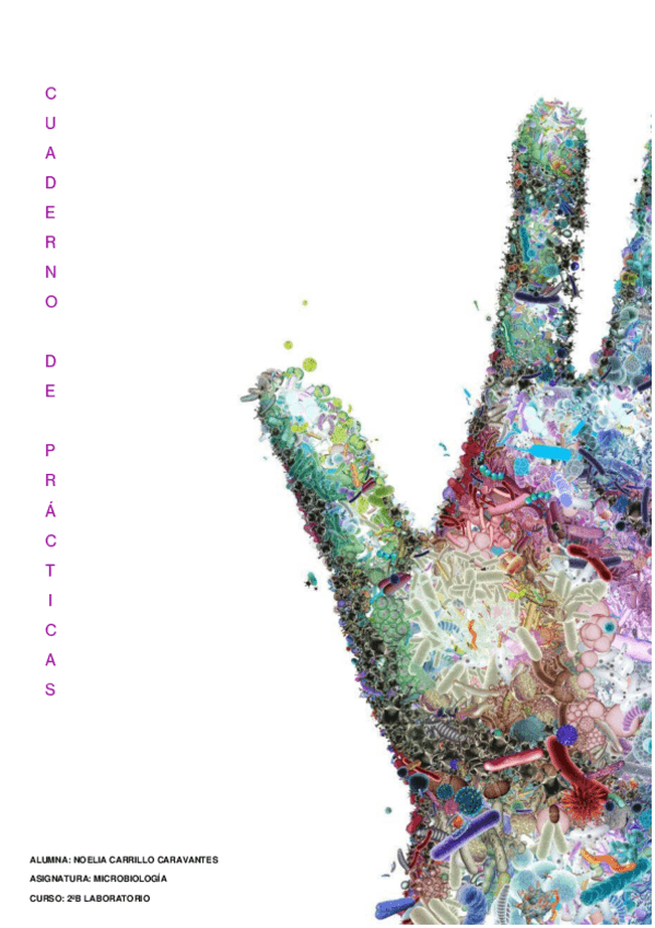 Miniatura del documento Cuaderno-de-Practicas-Micro.pdf