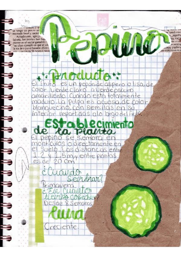 Miniatura del documento investigacion-del-pepino.pdf