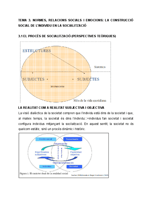 Miniatura del documento TEMA-3-SOCIOLOGIA.pdf