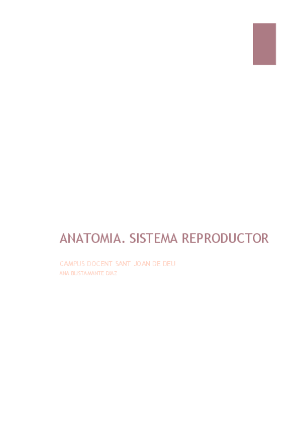 Miniatura del documento ANATOMIA-SISTEMA-REPRODUCTOR.pdf