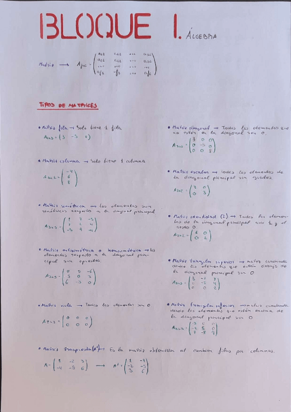 Miniatura del documento Apuntes Matemáticas II | 12,57 en la EvAU | 8,29 en 2º Bach.pdf