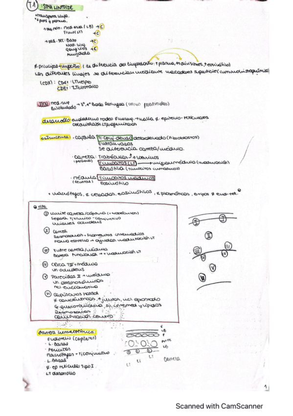 Miniatura del documento apuntes-histo-faltan-algunos.pdf