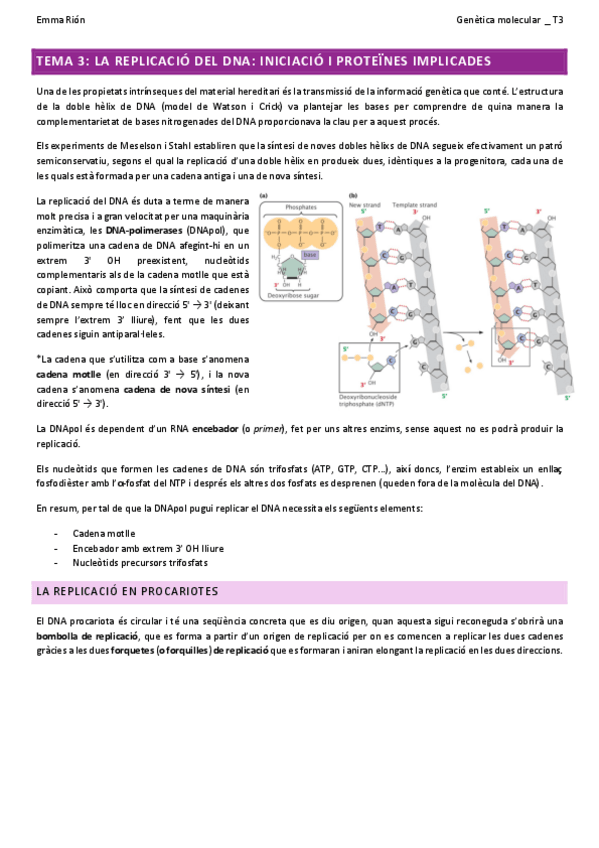 Miniatura del documento TEMA-3-genetica-molecular-W.pdf