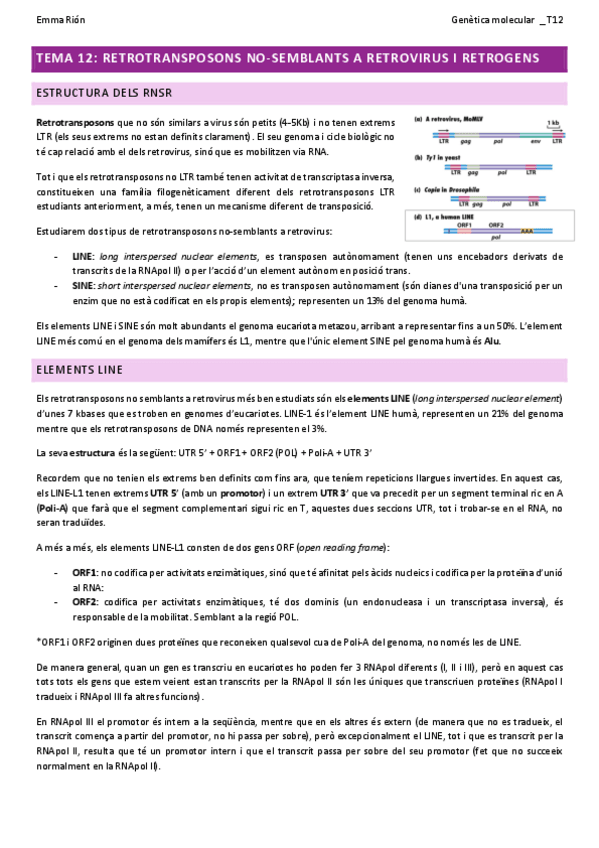 Miniatura del documento TEMA-12-genetica-molecular-W.pdf
