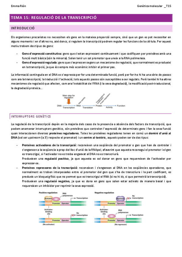 Miniatura del documento TEMA-15-genetica-molecular-W.pdf