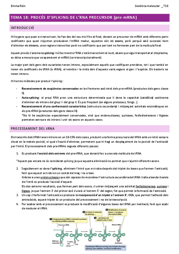 Miniatura del documento TEMA-18-genetica-molecular-W.pdf