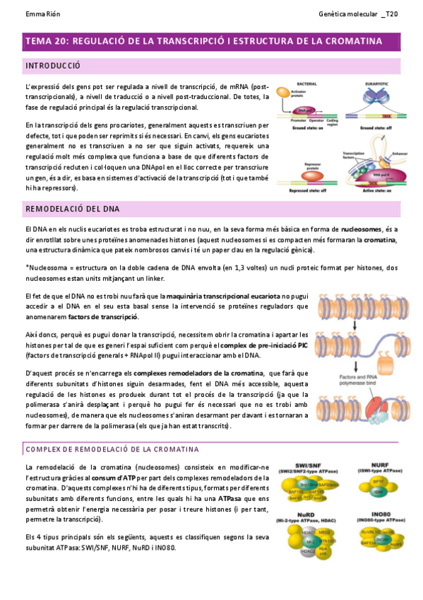 Miniatura del documento TEMA-20-genetica-molecular-W.pdf