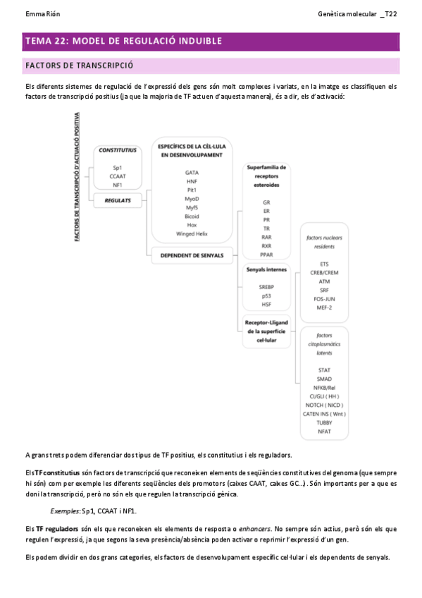 Miniatura del documento TEMA-22-genetica-molecular-W.pdf