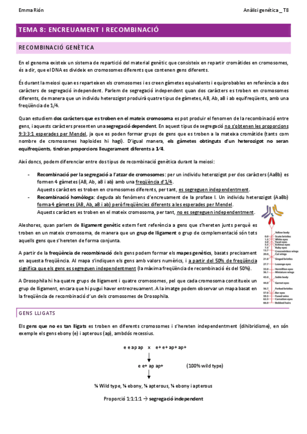 Miniatura del documento TEMA-8-analisi-genetica-W.pdf