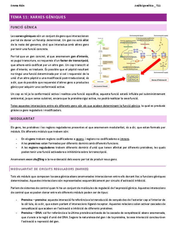 Miniatura del documento TEMA-11-analisi-genetica-W.pdf