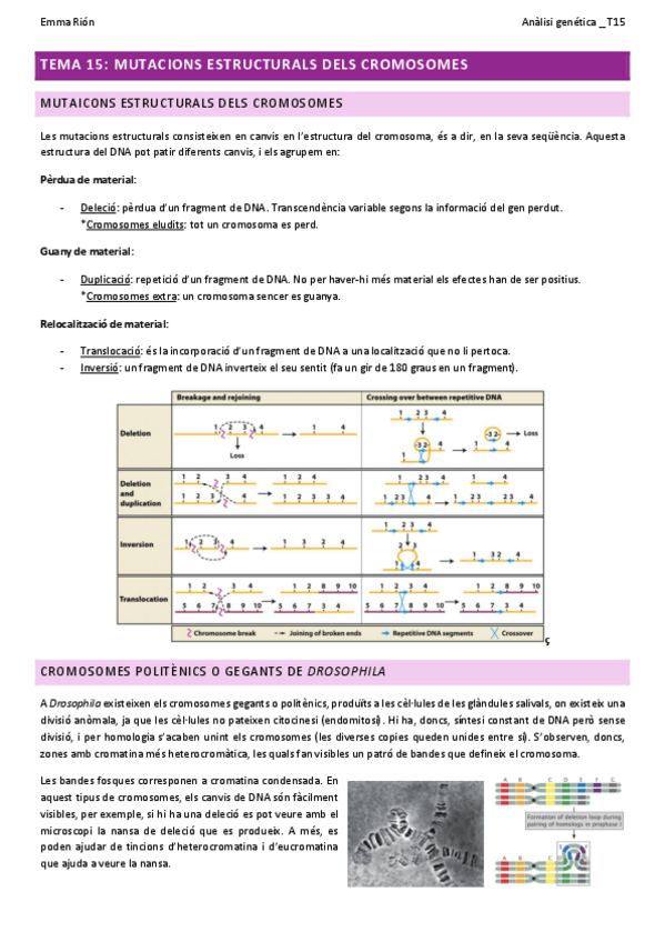 Miniatura del documento TEMA-15-analisi-genetica-W.pdf