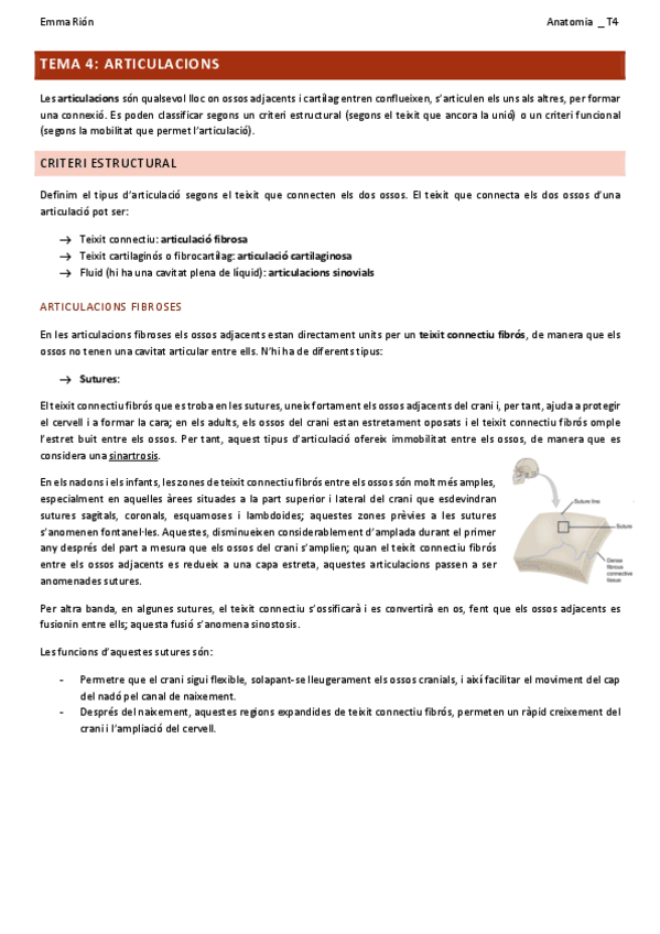 Miniatura del documento TEMA-4-anatomia.pdf