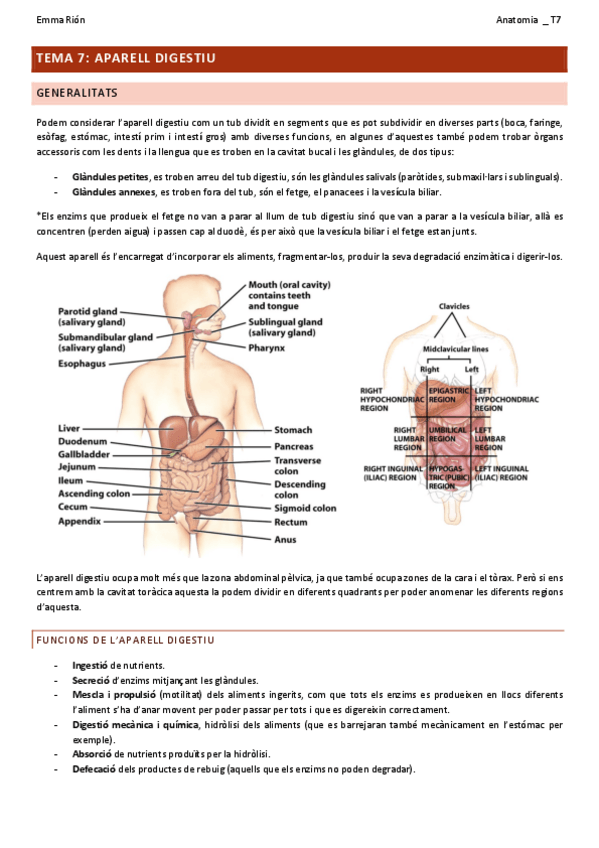 Miniatura del documento TEMA-7-anatomia.pdf