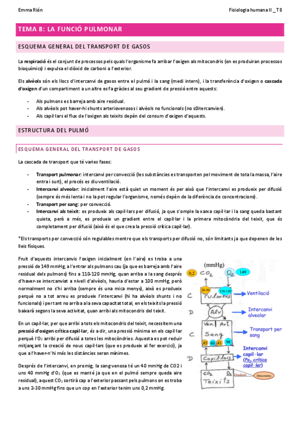 Miniatura del documento TEMA-8-fisio-humana-II.pdf