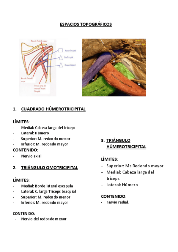 Miniatura del documento ESPACIOS TOPOGRÁFICOS.pdf