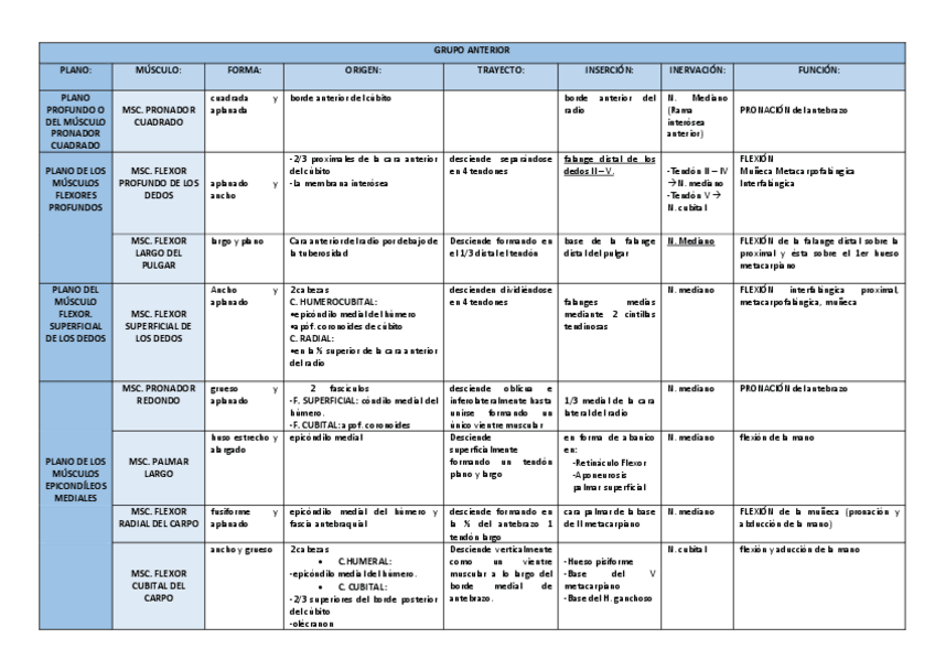 Miniatura del documento MUSCULATURA-ANTEBRAZO.pdf