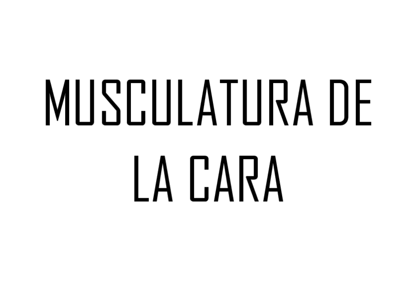Miniatura del documento MUSCULATURA-DE-LA-CARA.pdf