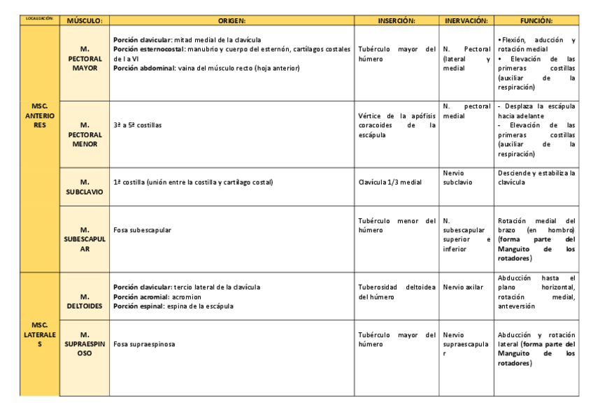 Miniatura del documento MUSCULATURA-DEL-HOMBRO.pdf