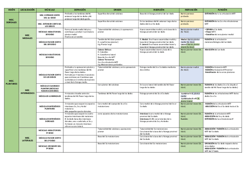 Miniatura del documento MUSCULATURA-PIE.pdf