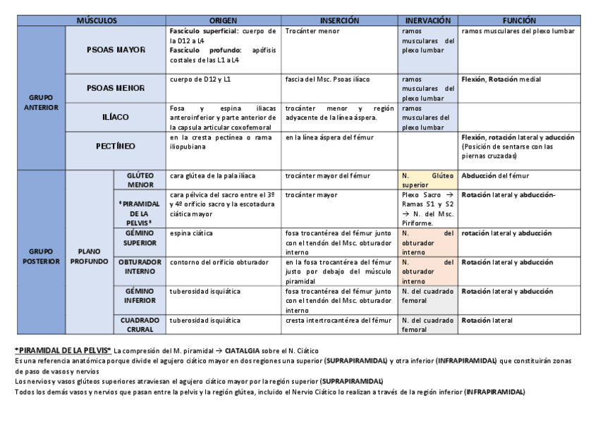Miniatura del documento MUSCULOS-DE-LA-PELVIS.pdf