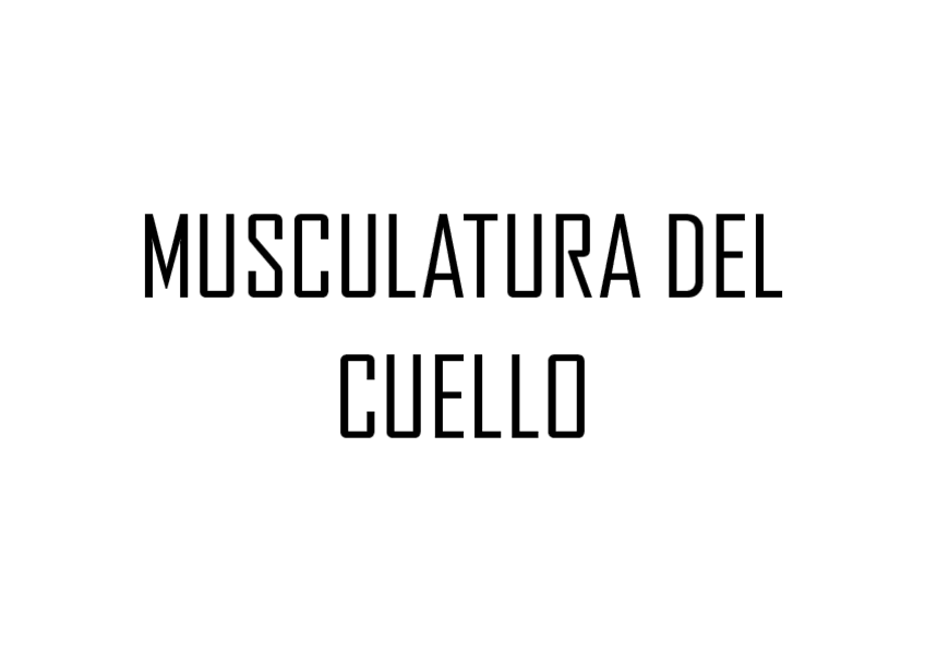 Miniatura del documento MUSCULOS-DEL-CUELLO.pdf