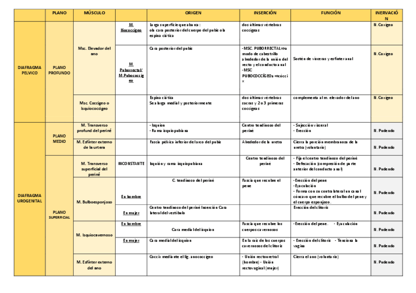 Miniatura del documento MUSUCLOS-PERINE.pdf