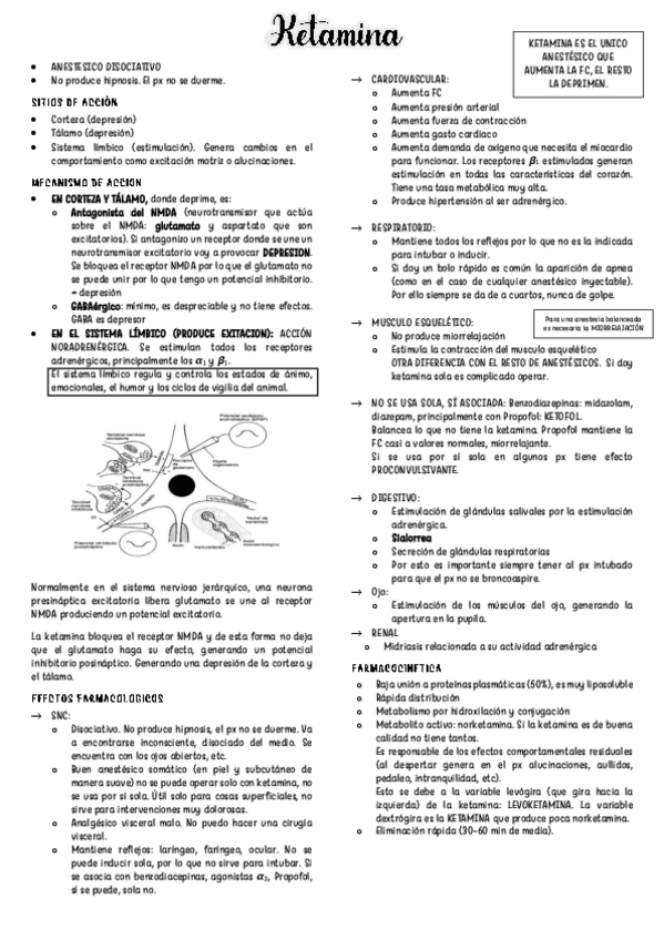 Miniatura del documento Ketamina.pdf