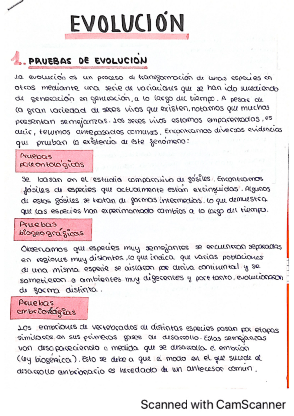 Miniatura del documento EVOLUCION.pdf