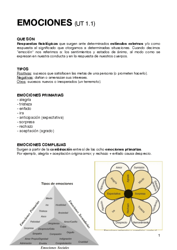 Miniatura del documento Las-emociones.pdf