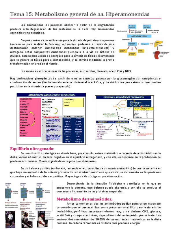 Miniatura del documento Tema 15.pdf