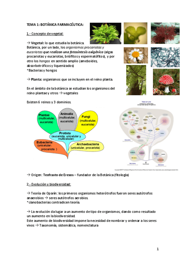 Miniatura del documento Botanicat1-t3.pdf