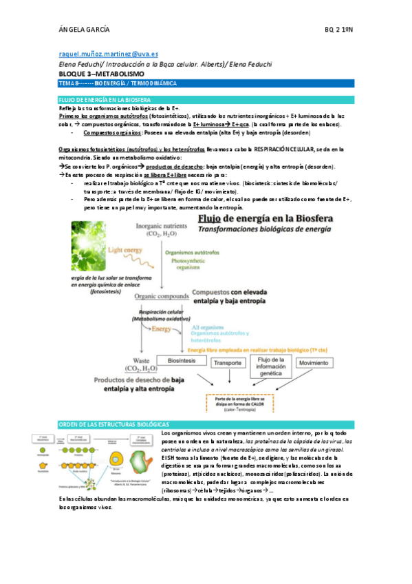 Miniatura del documento BQ2-Bloque-3-metabolismo.pdf