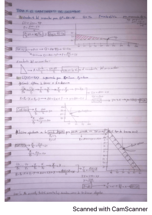 Miniatura del documento Ejercicios-por-temas-economia-aplicada.pdf