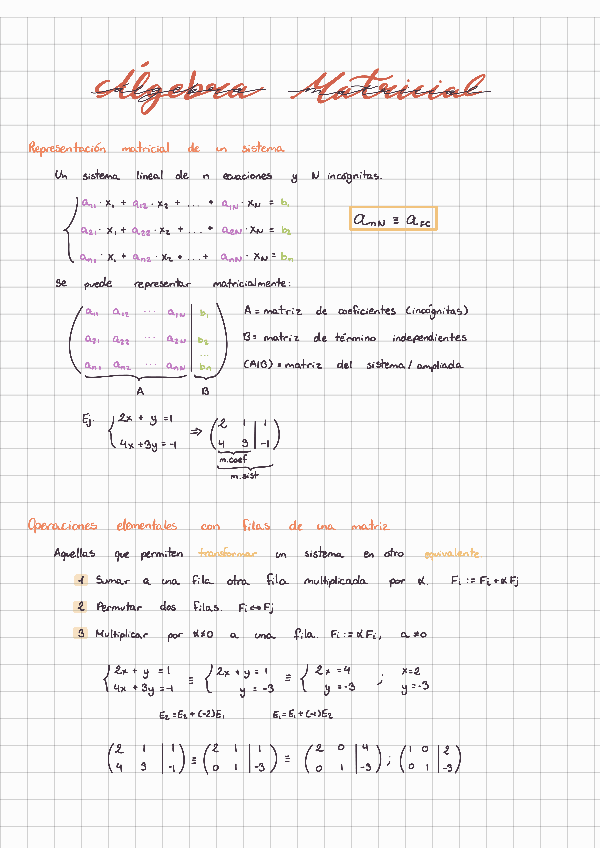 Miniatura del documento Apuntes-TII-Algebra-matricial-y-Gauss.pdf